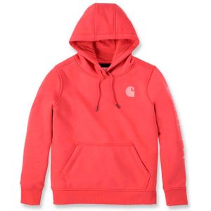 Carhartt Clarksburg Graphic Hoodie