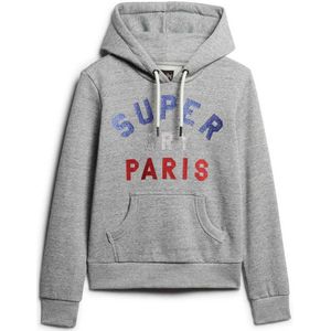 Superdry Glitter Graphic Logo Hoodie