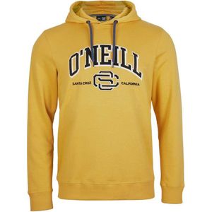 O´neill Surf State Hoodie