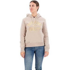 Superdry Luxe Metallic Logo Hoodie