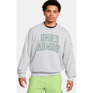 Under Armour Icon Heavyweight Terry Oversized Sweatshirt