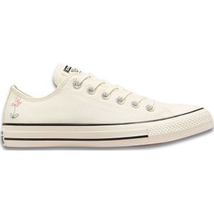 Converse Chuck Taylor All Star Schoenen