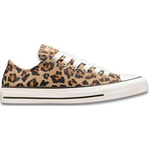 Converse Chuck Taylor All Star Egrettawny Owl Schoenen