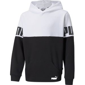 Puma Power Colorblock Hoodie