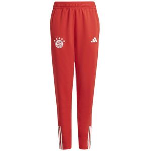 Adidas Fc Bayern Munich 23/24 Junior Trainingsbroek