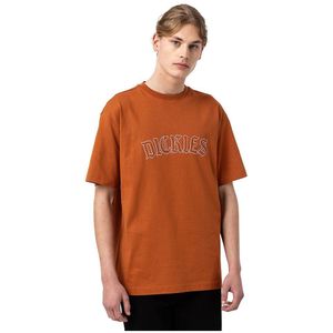 Dickies Union Springs T-shirt Met Korte Mouwen