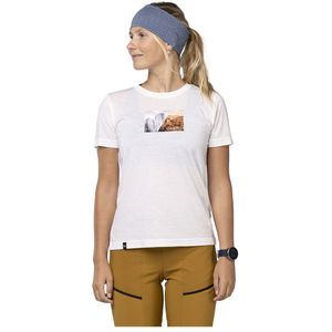 Salewa Pure Design Dry T-shirt Met Korte Mouwen