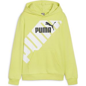 Puma Power Graphic B Hoodie