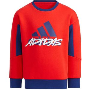 Adidas Lb Fleece Sweatshirt