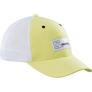 Salomon Curved Truckercap