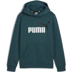 Puma Ess+ 2 Col Big Logo Hoodie