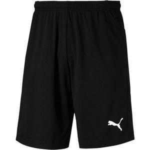 Puma Liga Training Korte Broek