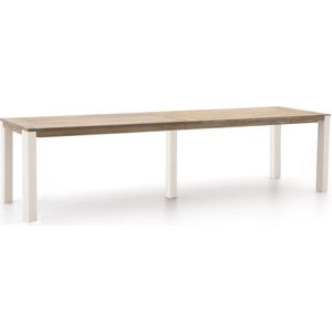 ROUGH-S dining tuintafel 300x90x76cm