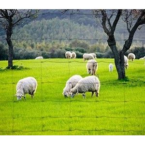 Schapengaas LICHT 0.60/6/15 x 50m