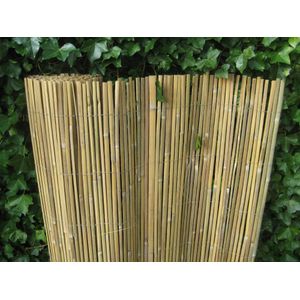 gespleten bamboemat op rol, 150 x 500 cm (h x b), blank