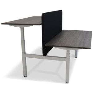 Roomforthenew Duo Zit Sta Bureau