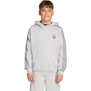 adidas - Originals X Minecraft - Hoodie - Junioren