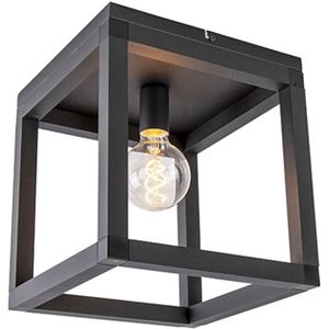 QAZQA Big_cage2 - Industriele Plafondlamp - 1 Lichts - L 290 Mm - Zwart - Industrieel