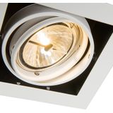 Inbouwspot wit AR111 verstelbaar - Oneon