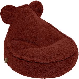 Bearly Bag Teddy Bruin