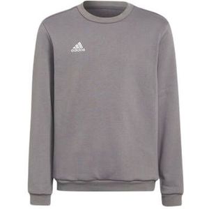 adidas Sportsweater