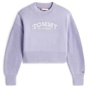 Tommy Hilfiger Sweater