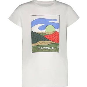 Icepeak T-shirt