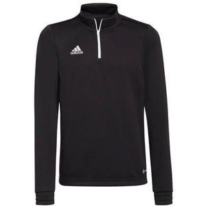 adidas Sport t-shirt