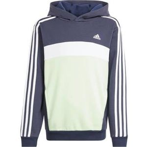 adidas Trui