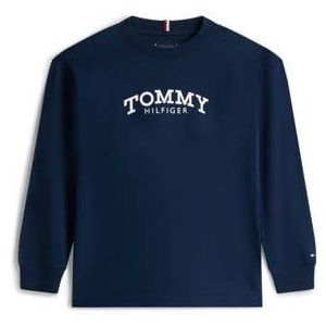 TOMMY HILFIGER Shirt  navy / rood / wit