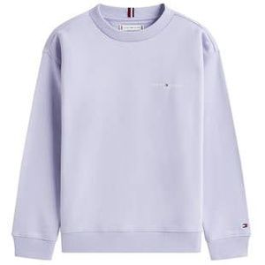 TOMMY HILFIGER Sweatshirt  lichtblauw