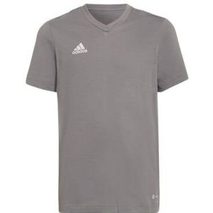 adidas Sport t-shirt