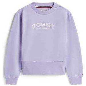TOMMY HILFIGER Sweatshirt  watermeloen rood / offwhite