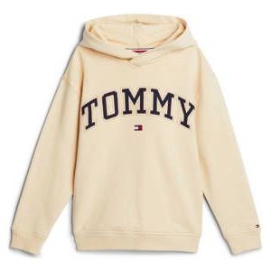 Tommy Hilfiger Sweater