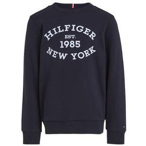 Tommy Hilfiger Sweater