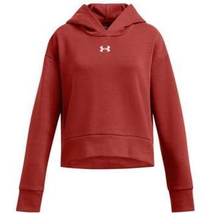 Under Armour Sweater