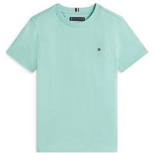 Tommy Hilfiger T-shirt