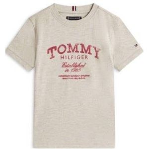 Tommy Hilfiger T-shirt