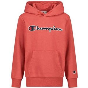 Champion Sweater