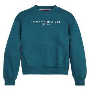 Tommy Hilfiger Sweater