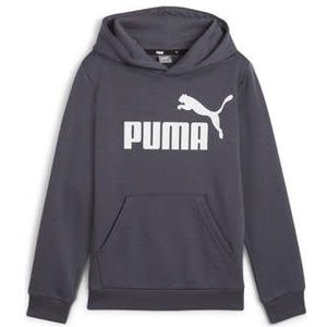 Puma Sweater