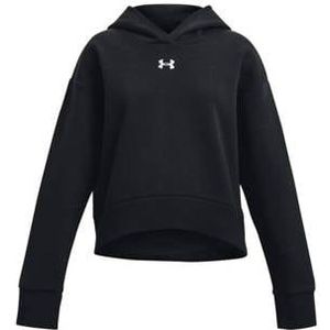 Under Armour Sweater