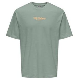 ONLY & SONS T-shirt
