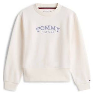 TOMMY HILFIGER Sweatshirt  navy / lavendel / wit