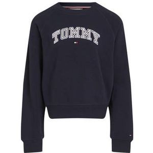 Tommy Hilfiger Sweater