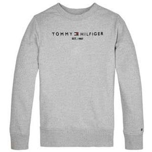 Tommy Hilfiger Sweater