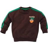 Z8 - mini sweater - Bruin/Groen - Schipperstruien
