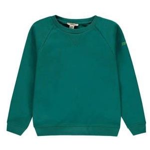 ESPRIT Longsleeve Groen