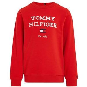 Tommy Hilfiger Sweater