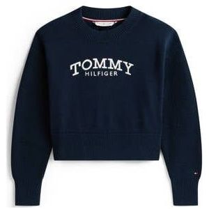 TOMMY HILFIGER Trui  navy / rood / wit